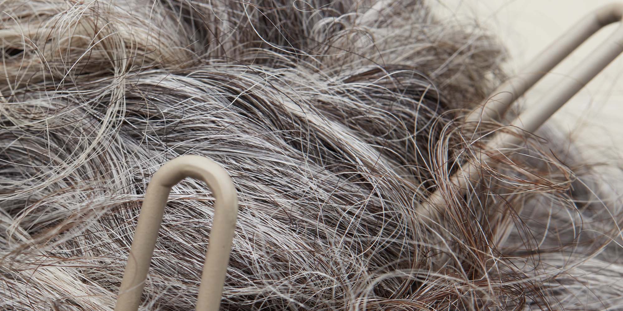 How to Secure a Bun Without an Elastic